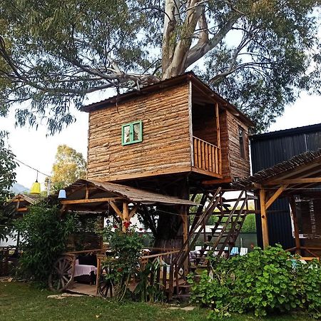 Daidala Life Bed & Breakfast Göcek Eksteriør bilde